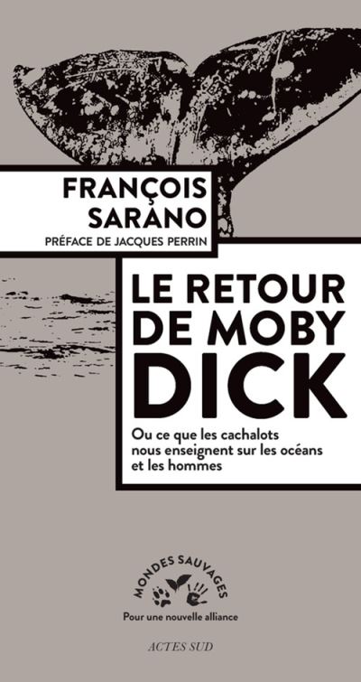 Le retour de Moby Dick