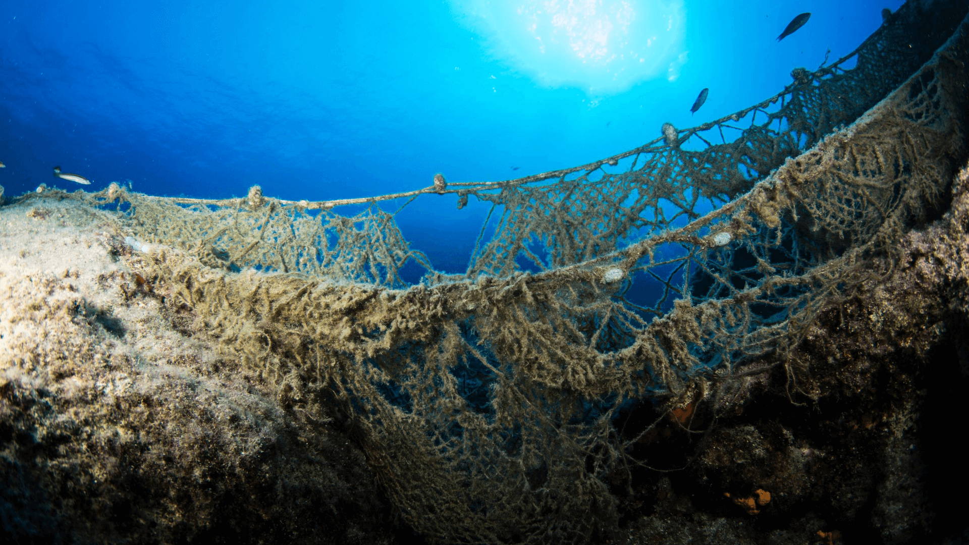 Filest de pêche abandonnés